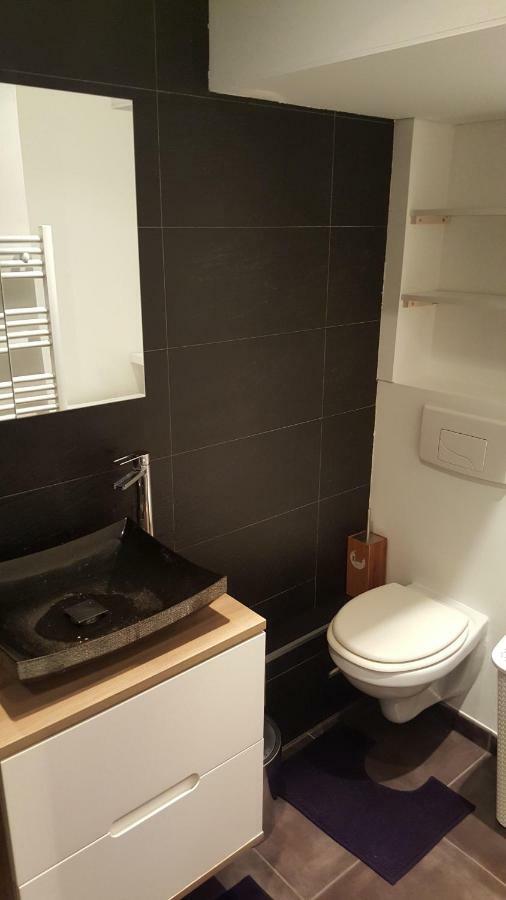 Le Marnois-centre Apartment